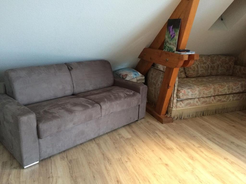 Appartement Sur Le Bord Du Lac De Fabreges 拉兰 外观 照片